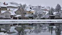 Dolní rybník v zimě, foto: M. Žitníková [nové okno]