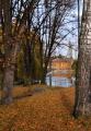 Horní rybník - podzimní pohled, foto: M. Žitníková [nové okno]